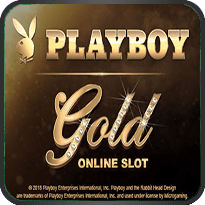 PLAYBOY GOLD